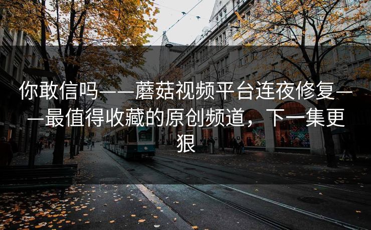 你敢信吗——蘑菇视频平台连夜修复——最值得收藏的原创频道，下一集更狠