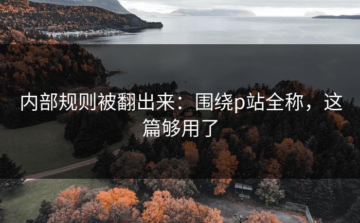 内部规则被翻出来：围绕p站全称，这篇够用了