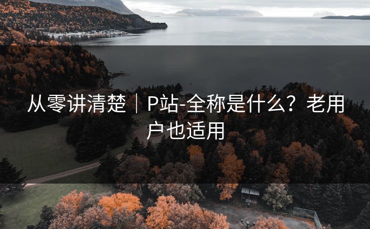 从零讲清楚｜P站-全称是什么？老用户也适用