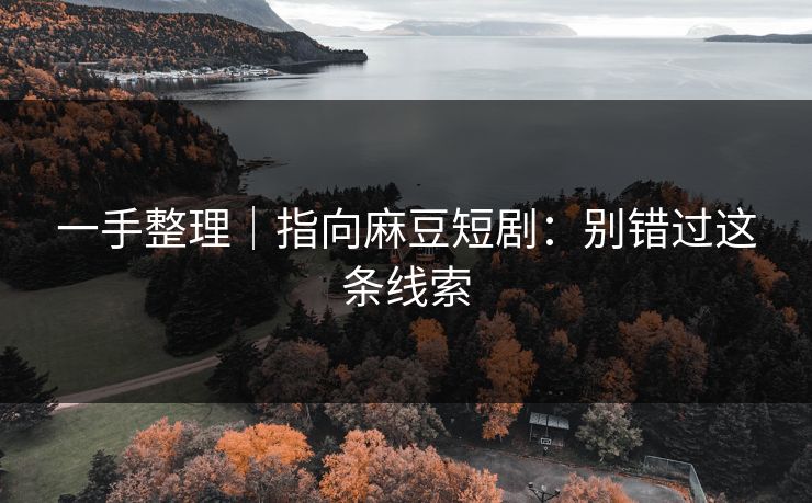 一手整理|指向麻豆短剧:别错过这条线索 一手整理|指向麻豆短剧:别错过这条线索