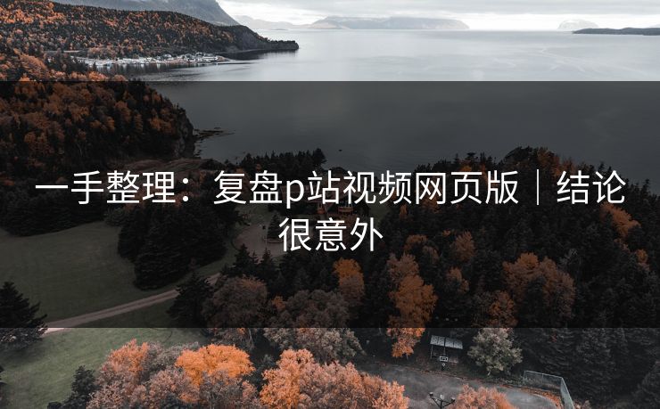 一手整理：复盘p站视频网页版｜结论很意外