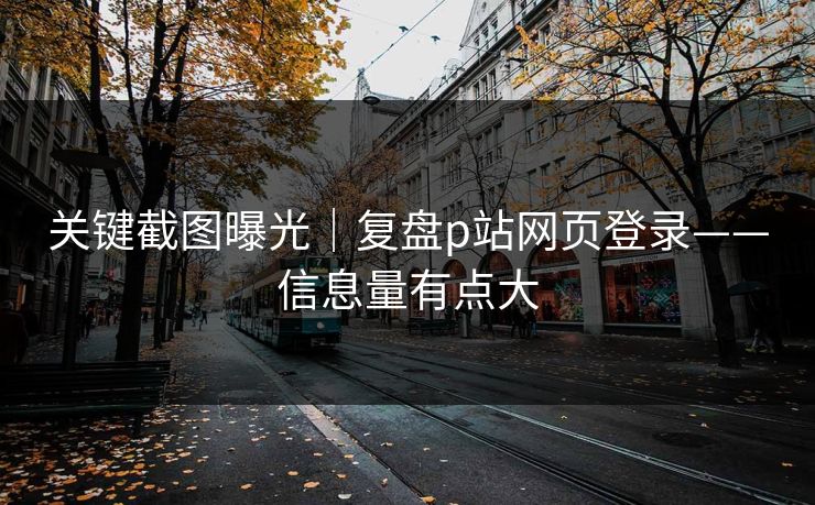 关键截图曝光｜复盘p站网页登录——信息量有点大