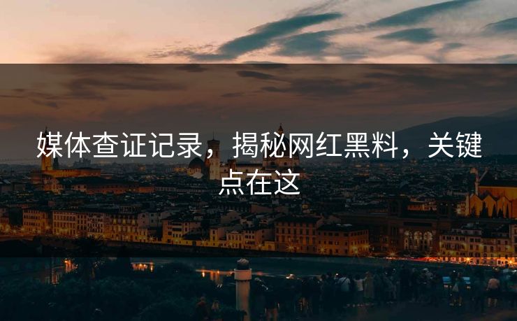 媒体查证记录，揭秘网红黑料，关键点在这